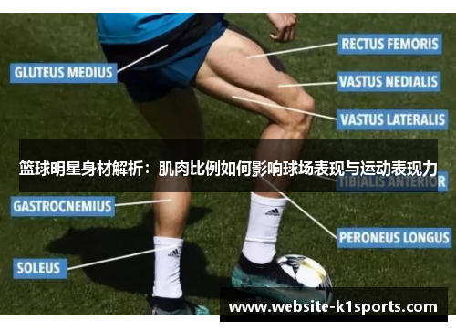 篮球明星身材解析：肌肉比例如何影响球场表现与运动表现力