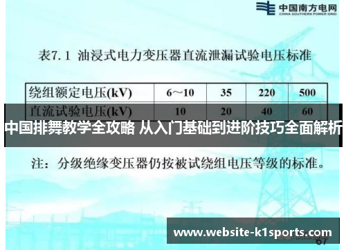 中国排舞教学全攻略 从入门基础到进阶技巧全面解析