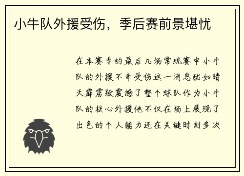 小牛队外援受伤，季后赛前景堪忧
