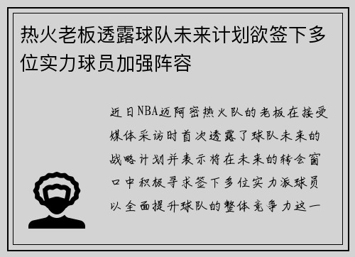 热火老板透露球队未来计划欲签下多位实力球员加强阵容